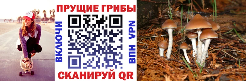 Псилоцибиновые грибы мицелий  Купить где  Монино 